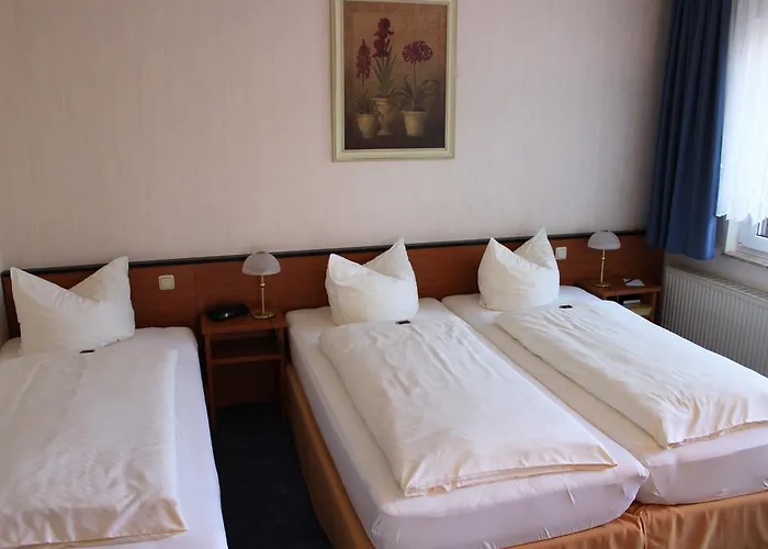 Hotel Schmidt Mit Gastehaus Am Vogelsang